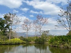 -中国科学院西双版纳热带植物园