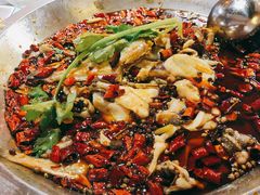 -蛙一刀·麻椒鱼火锅(金仙桥店)