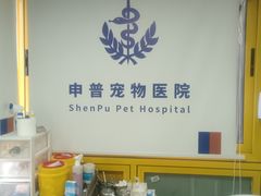 -申普宠物医院·心脏介入·心血管微创(总院)