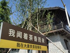 -大唐贡茶院