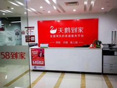 -天鹅到家·保姆月嫂育儿嫂(龙华店)