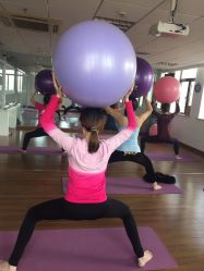 -爱尔乐美孕产瑜伽·普拉提