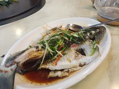 -得心斋(国瑞升平里店)