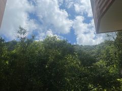 -香港大学