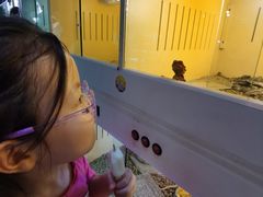 -中环花鸟鱼虫市场