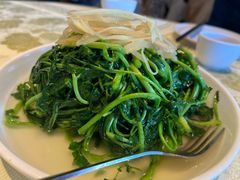 -华星餐厅