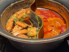 -温野菜涮涮锅(西单大悦城店)