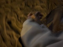 -白城沙滩
