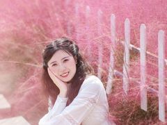-嘉北郊野公园
