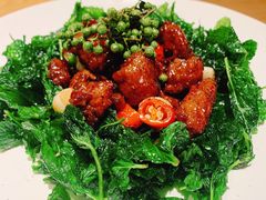 九层塔牛肉粒-青梅酒肆PLUS(长白仙岛北路店)