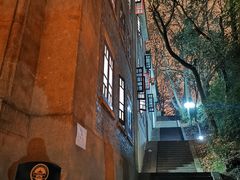 -武汉大学-樱园