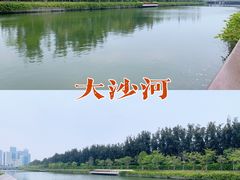 -大沙河公园
