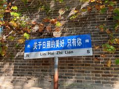 -日照海滨国家森林公园