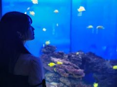 -石家庄海洋公园