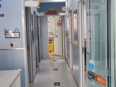 -纳吉亚猫专科动物诊疗中心(蒋宅口分院)