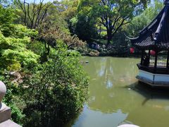 -上海醉白池公园