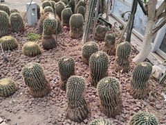 -郑州植物园