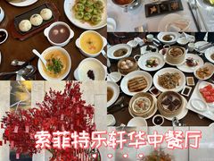 -索菲特酒店·乐轩华中餐厅
