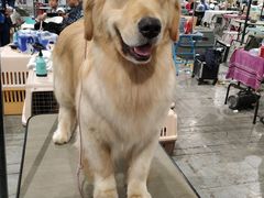 -东浩兰生上海世博展览馆