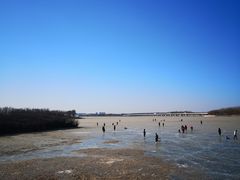 -丁香湖公园