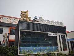 -向外鱼乐·土菜·虹鳟鱼