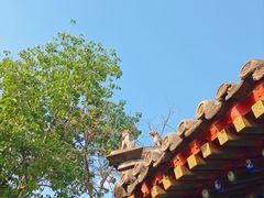 -白云观