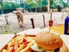 -上海野生动物园老虎餐厅