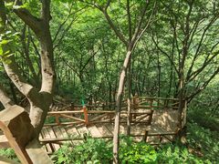 -大岭沟猕猴桃谷风景区