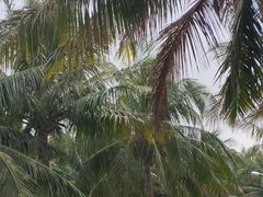 -白沙门生态公园