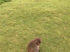 -海南热带野生动植物园