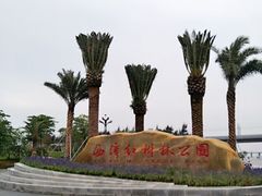 -宝安西湾红树林湿地公园