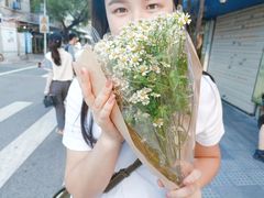 -溪岸路花鸟市场