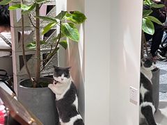 -seeu coffee(江滩店)