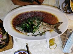 榄角蒸边鱼-茂港柏香(侨港路店)