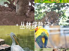 -济南野生动物世界