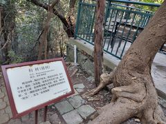 -大蜀山国家森林公园