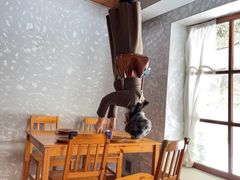 -金山农民画村-枫泾波兰倒置屋
