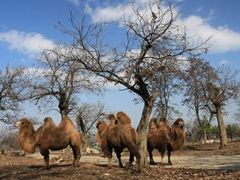 -西安秦岭野生动物园
