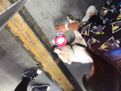 世博展览馆-东浩兰生上海世博展览馆