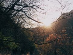 -圣莲山风景区