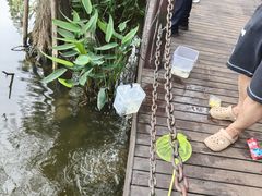 -重庆彩云湖湿地公园