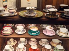 -樹下遇见树·咖啡