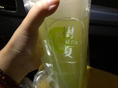 -树夏(建设路店)