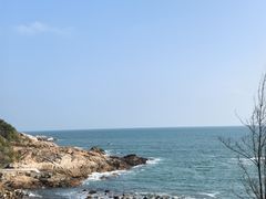 -广东惠东海龟国家级自然保护区