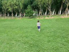 -长白岛森林公园