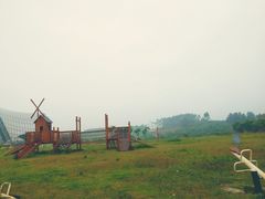 -紫颐香薰山谷景区