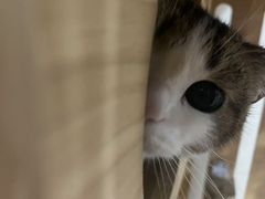 -网鱼网咖(上海静安寺店)