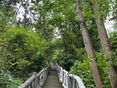 -长沙黑麋峰国家森林公园