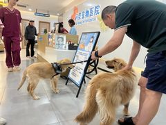 -阿荣24H宠物医院·综合型转诊中心·CT·核磁影像中心