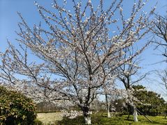 -汇泉广场